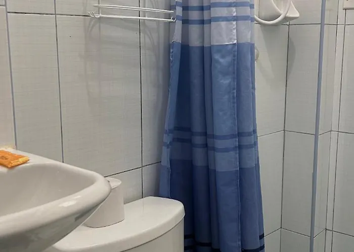 El Viejo Roble
